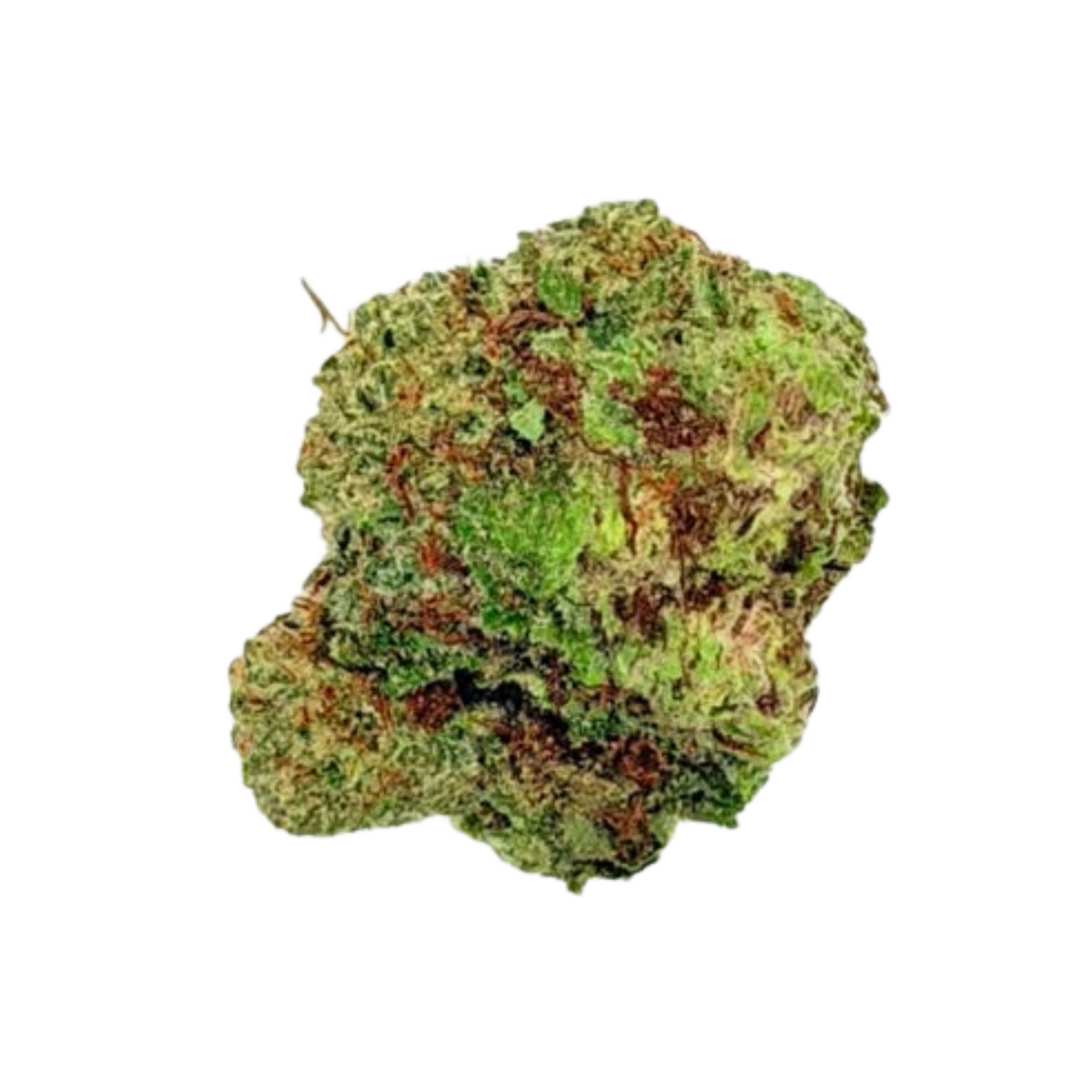 Gelonade (Sativa)