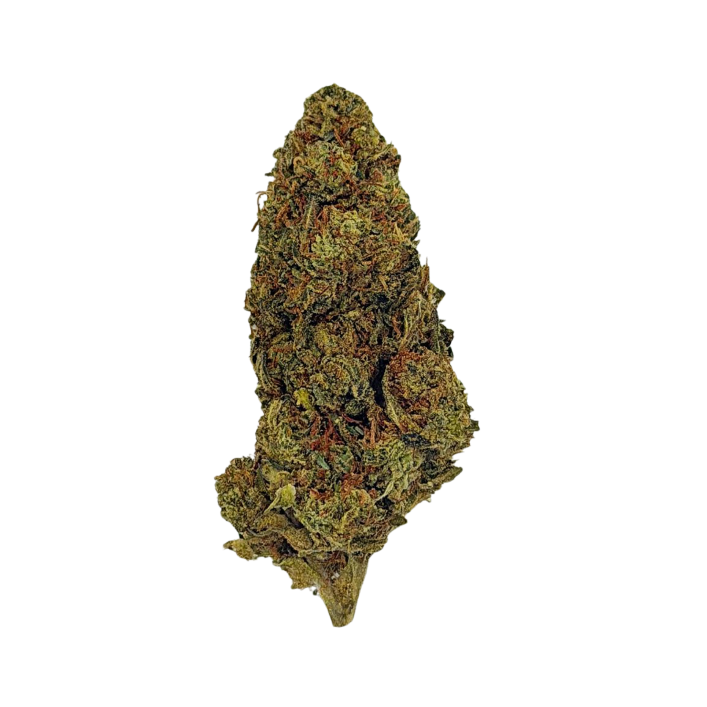 Hashburger (Sativa)