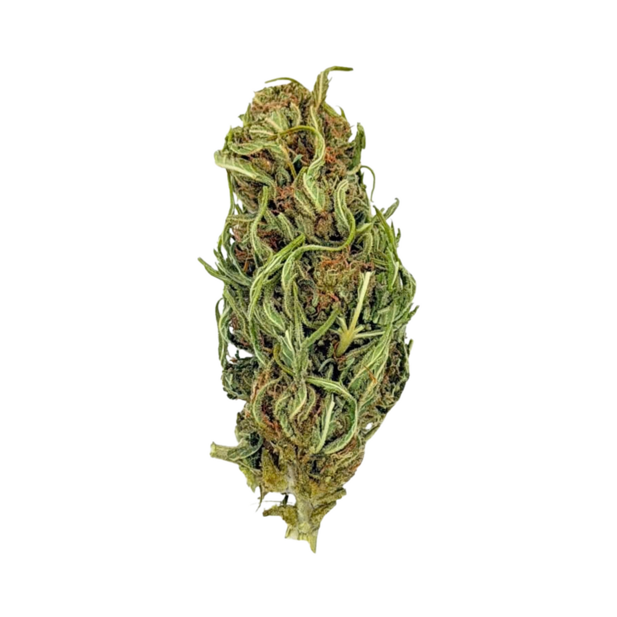 Hawaiian Haze (Hybrid)