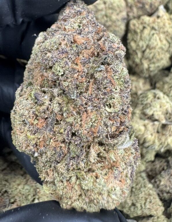Gas Mints Exotic THC-A Flower