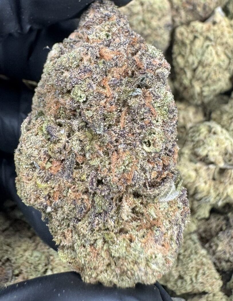 Gas Mints Exotic THC-A Flower