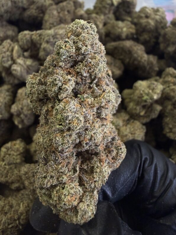Fire as Fuck Exotic THC-A Flower