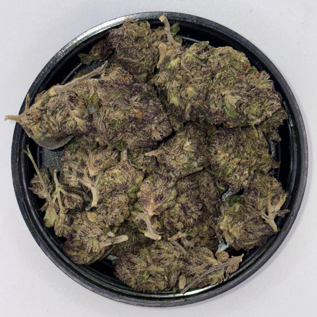 Jocker Candy (Hybrid)