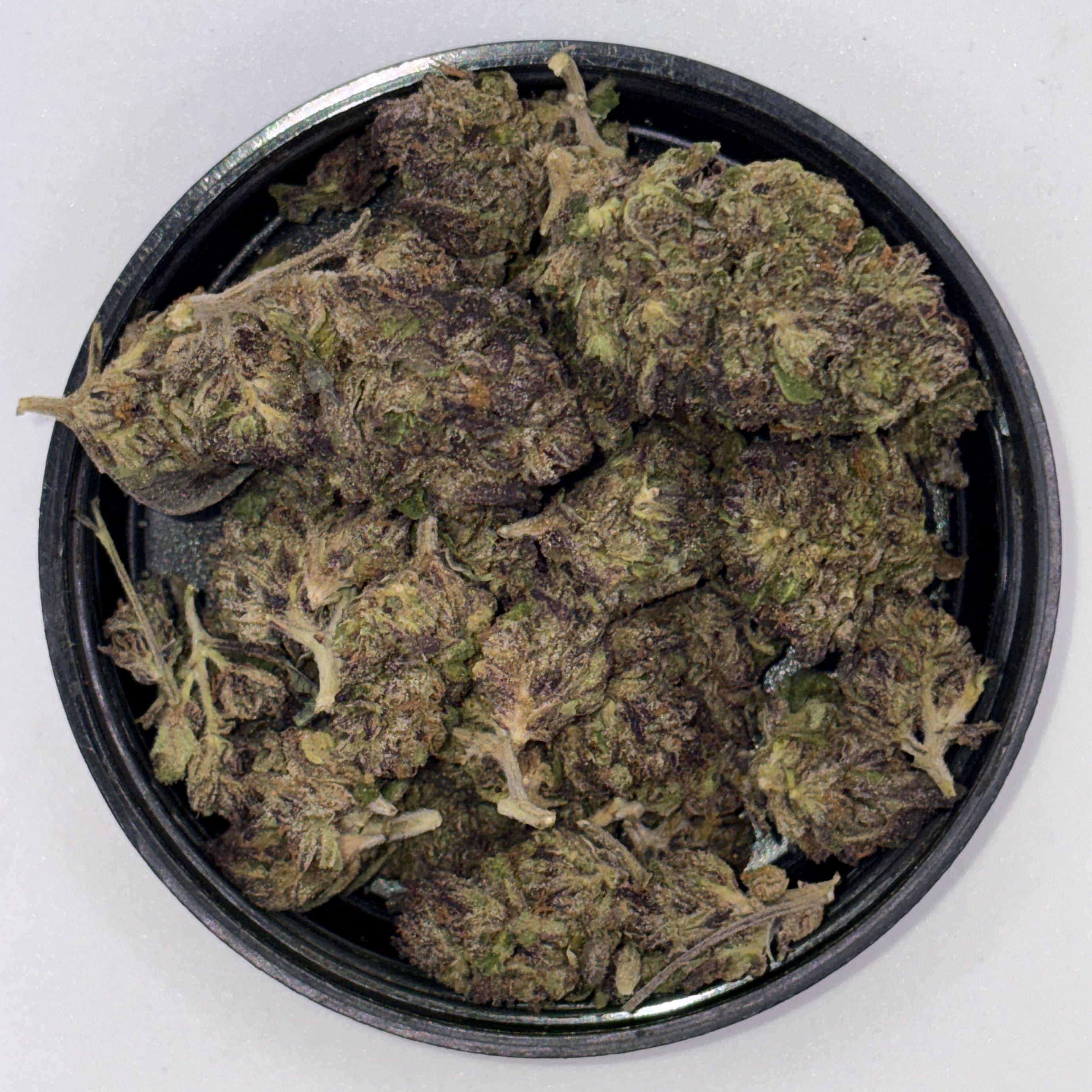 Jocker Candy (Hybrid)