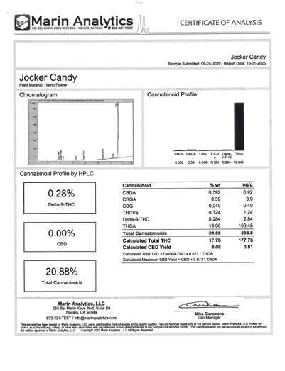 Jocker Candy (Hybrid)