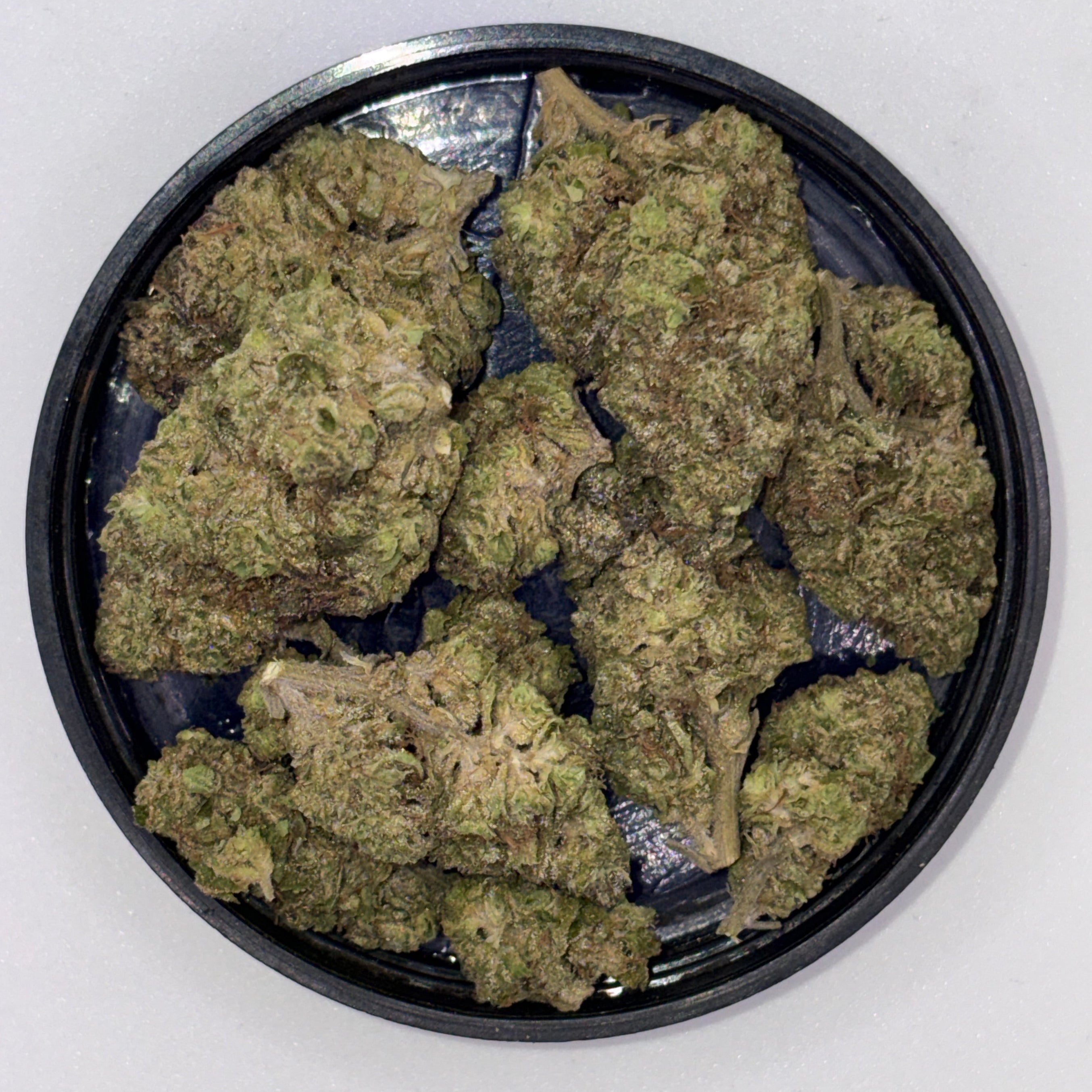 Lizard Burger (Hybrid)