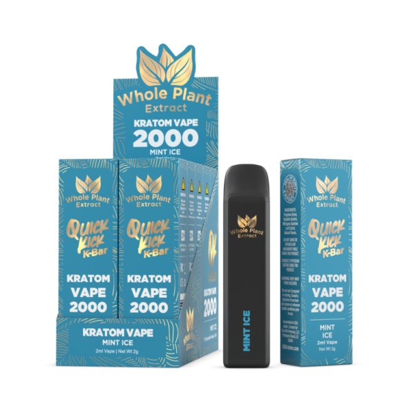 QK Kratom 2G Disposable Vape Mint Ice – 10 Pack