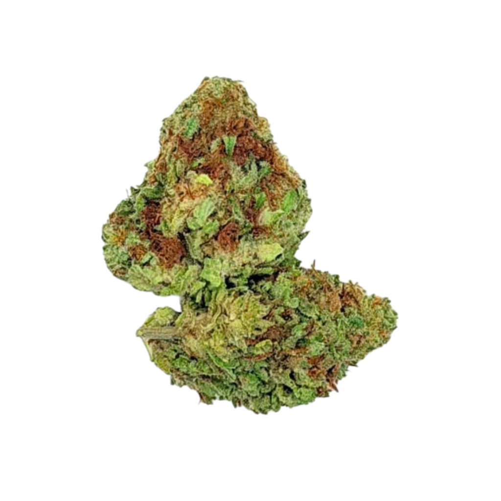 RS-11 (Indica)