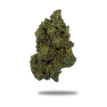 THC-A Flower SR-71 (select)