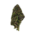 Silver Haze (Sativa)