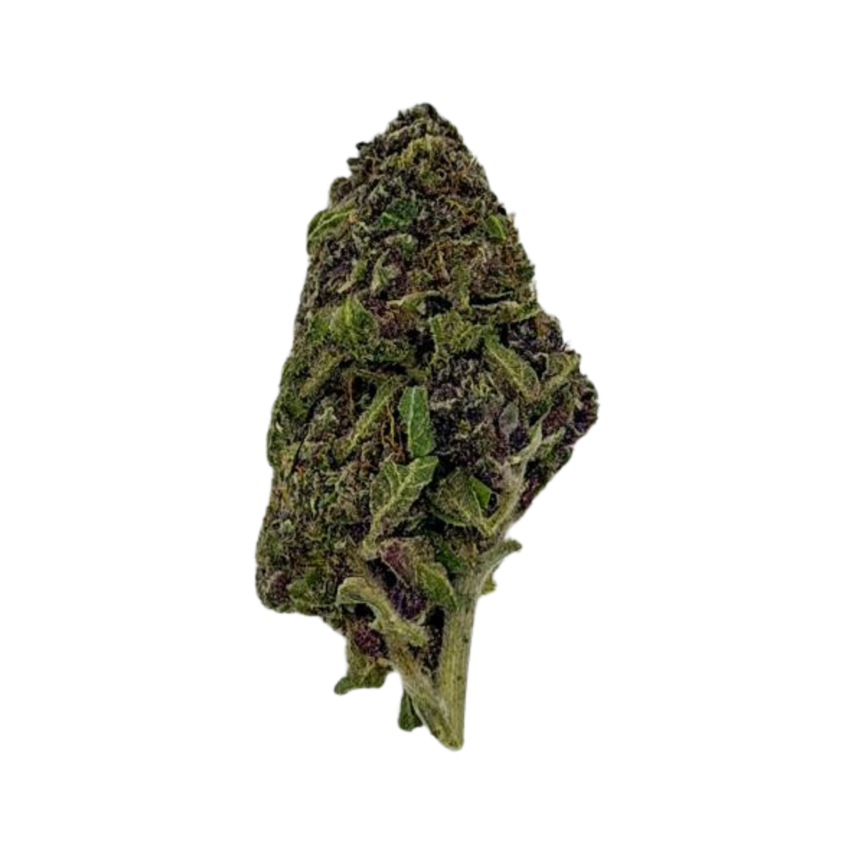 Silver Haze (Sativa)