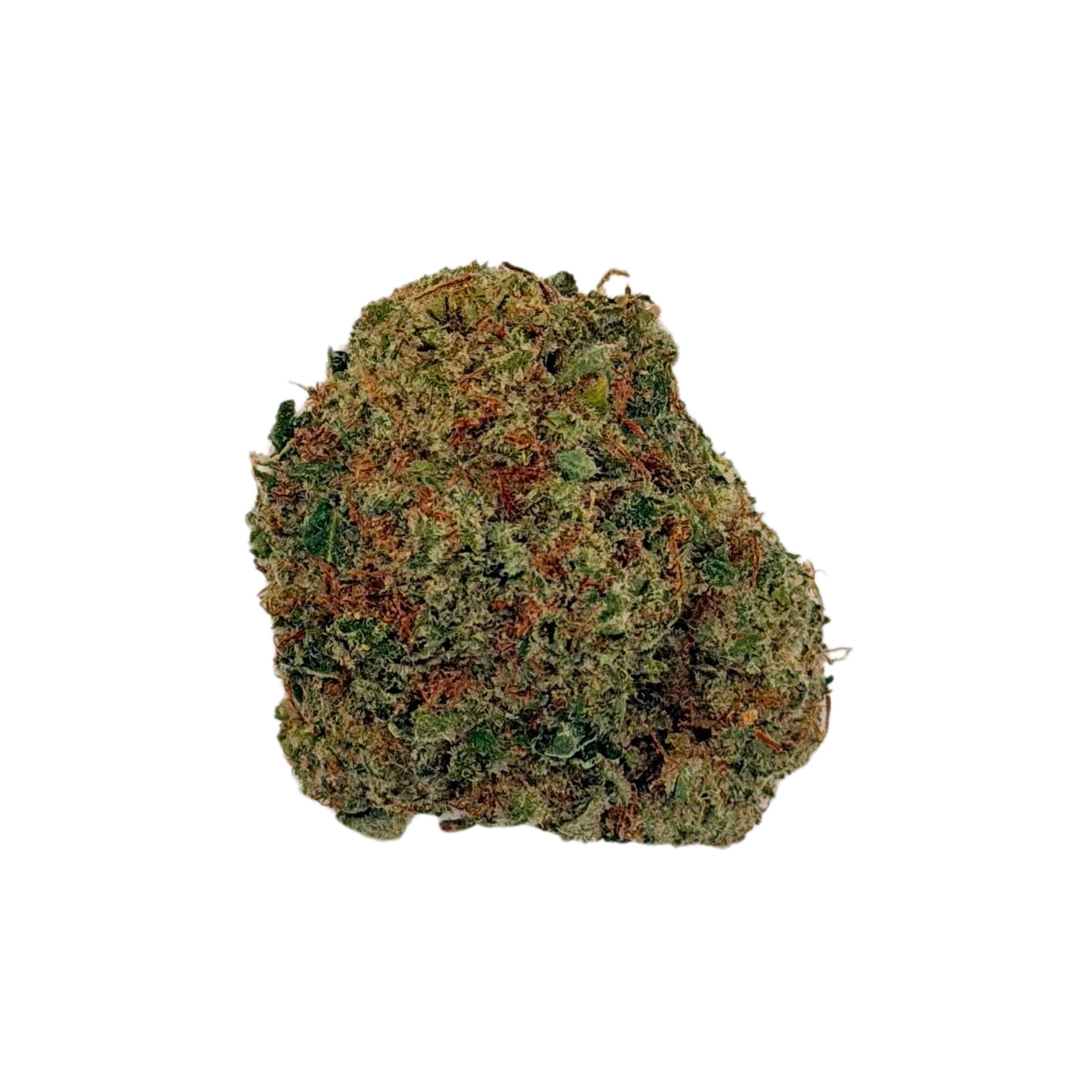 Super Lemon (Sativa)