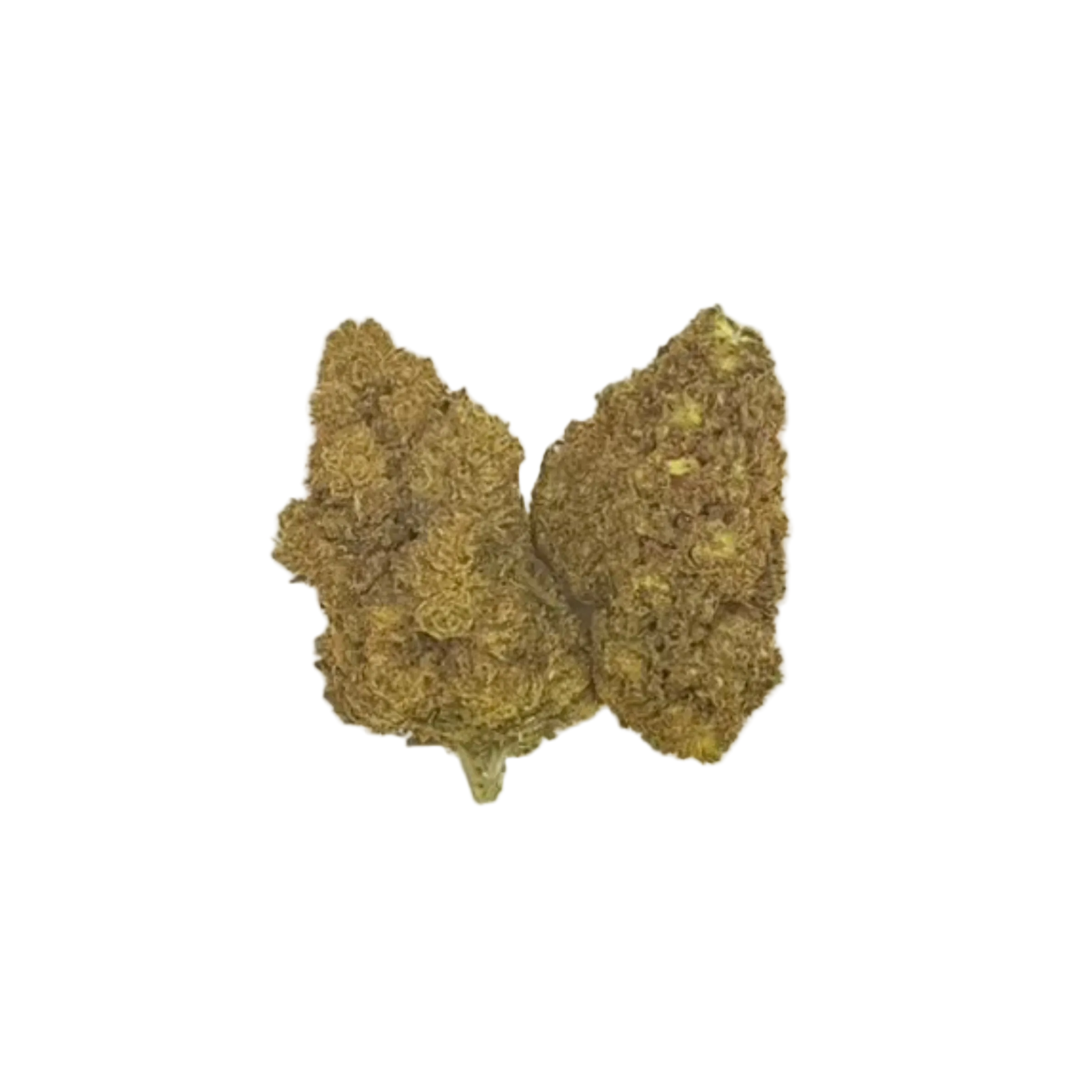 Candy Gelato (Indica)