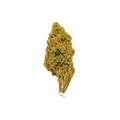 Vanilla Ice (Hybrid Indica-Dominant)