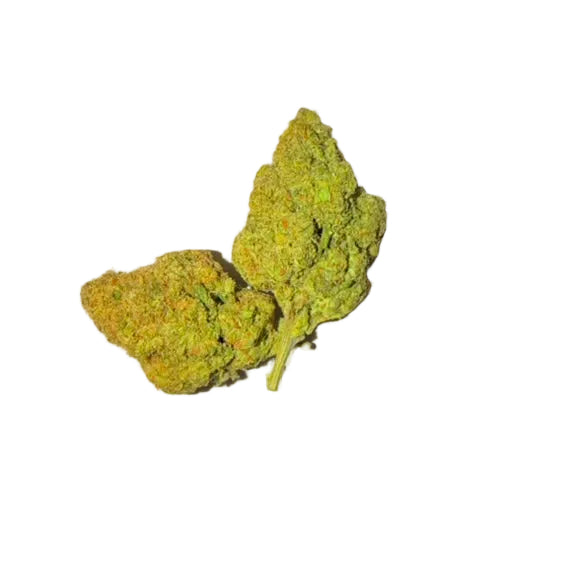 Lemon Guava (Sativa)