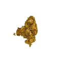 Panama Red (Sativa)