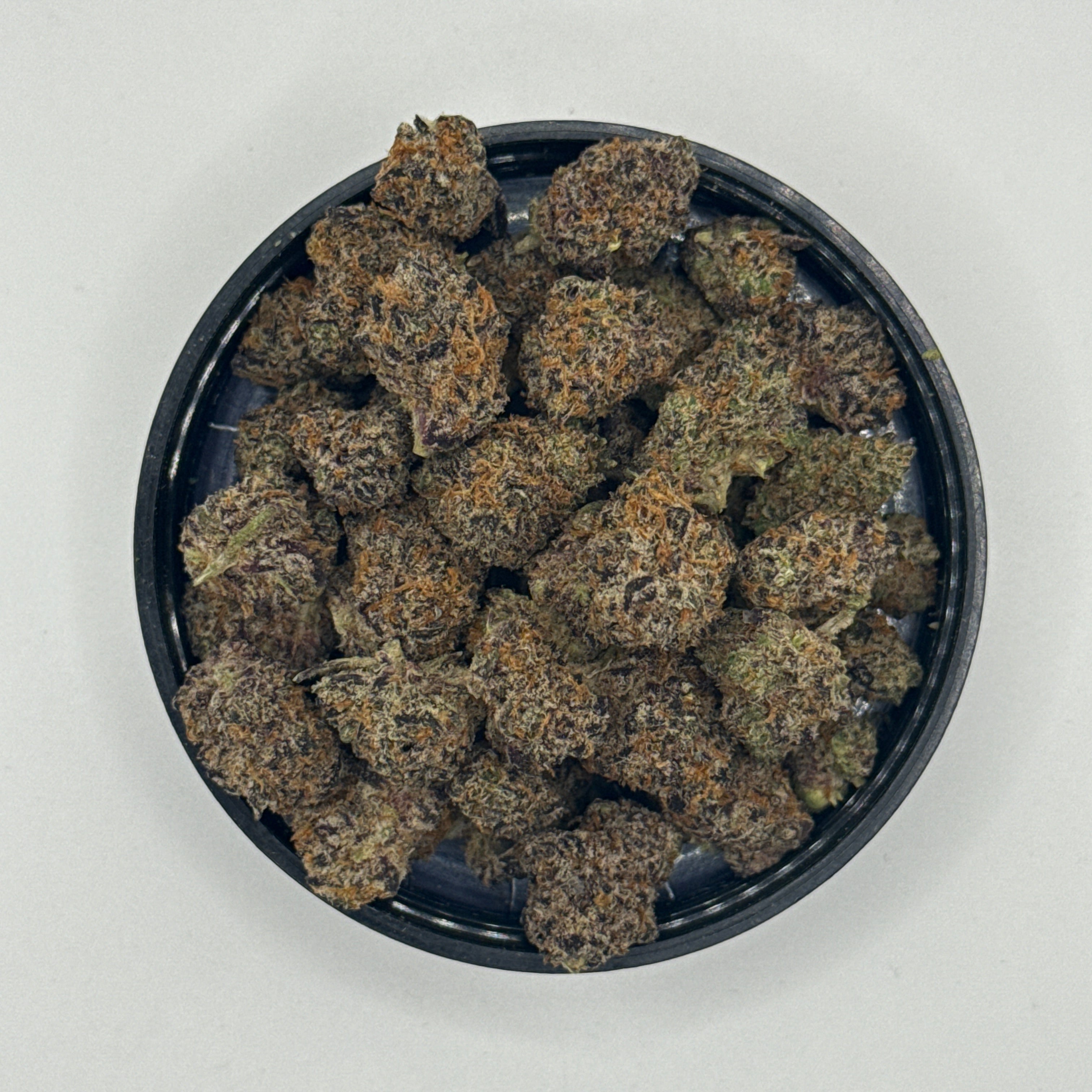 White Rhino (Hybrid)