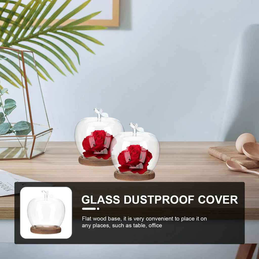 Glass Dome Cover Wood Base
