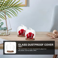 Glass Dome Cover Wood Base