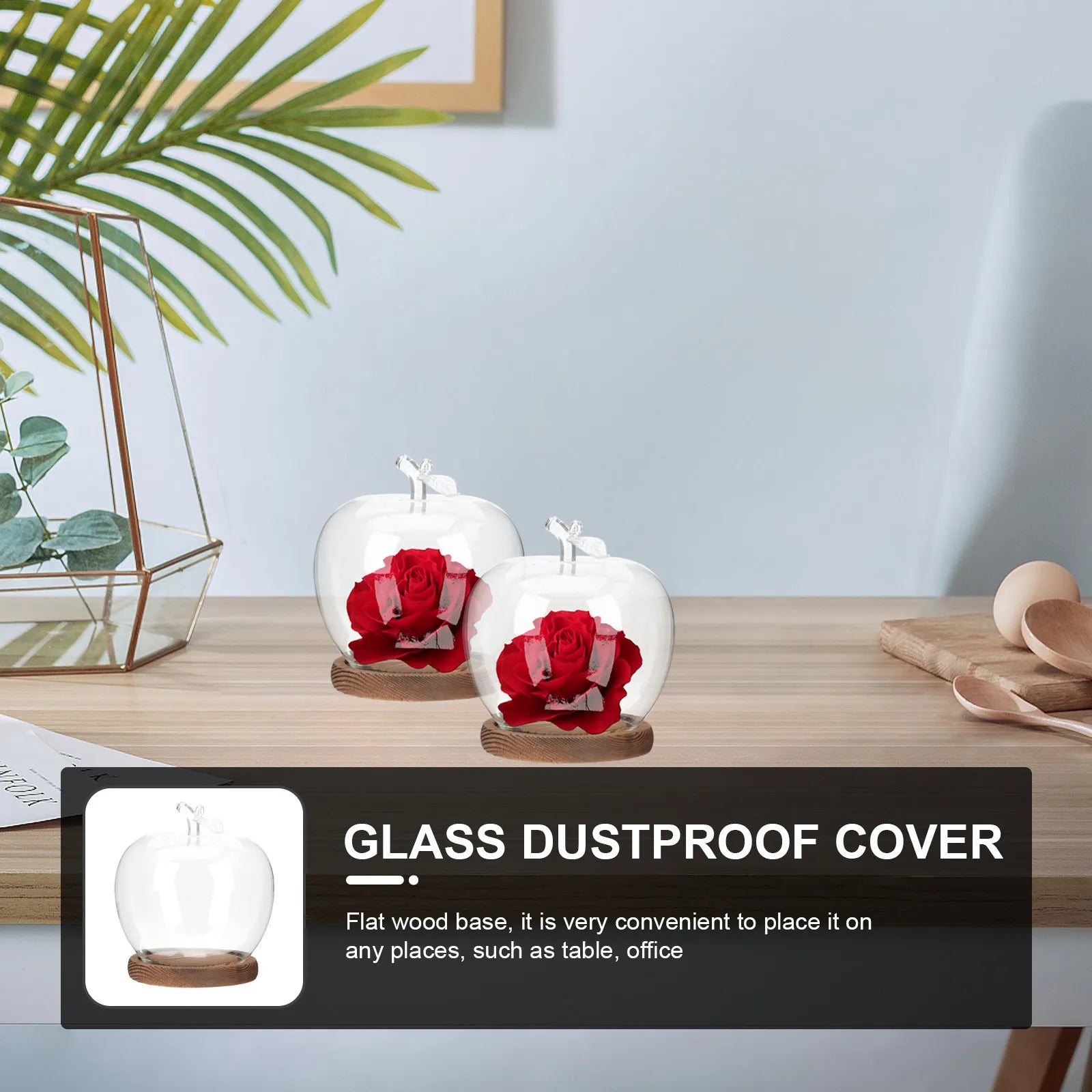 Glass Dome Cover Wood Base