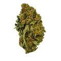 Bangers (Hybrid Sativa-Dominant)
