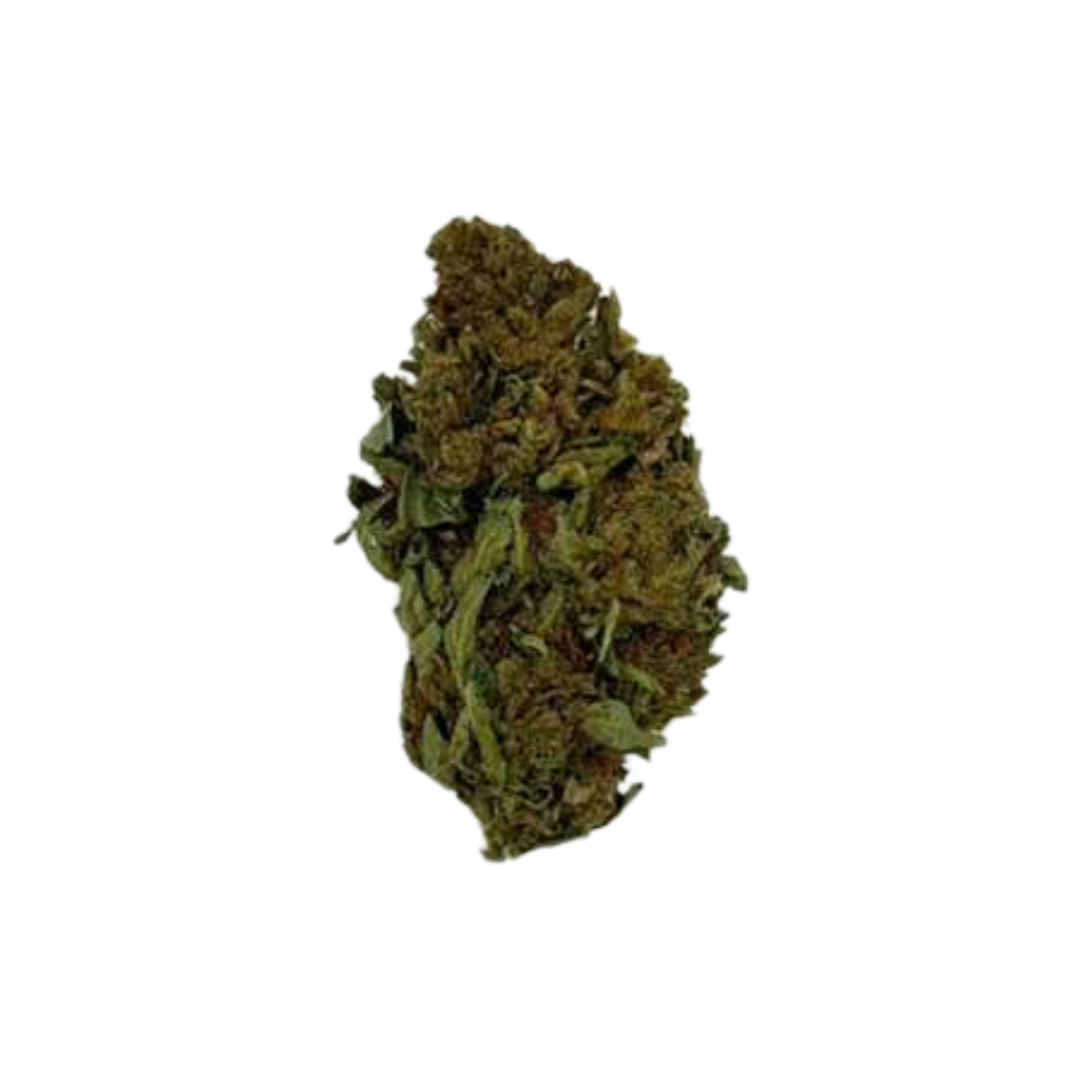 Bangers (Hybrid Sativa-Dominant)