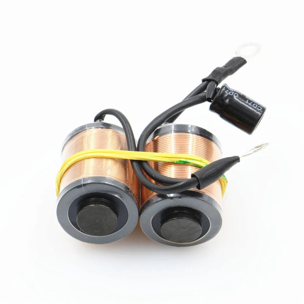 2Pcs 10 Coils Tattoo Machine
