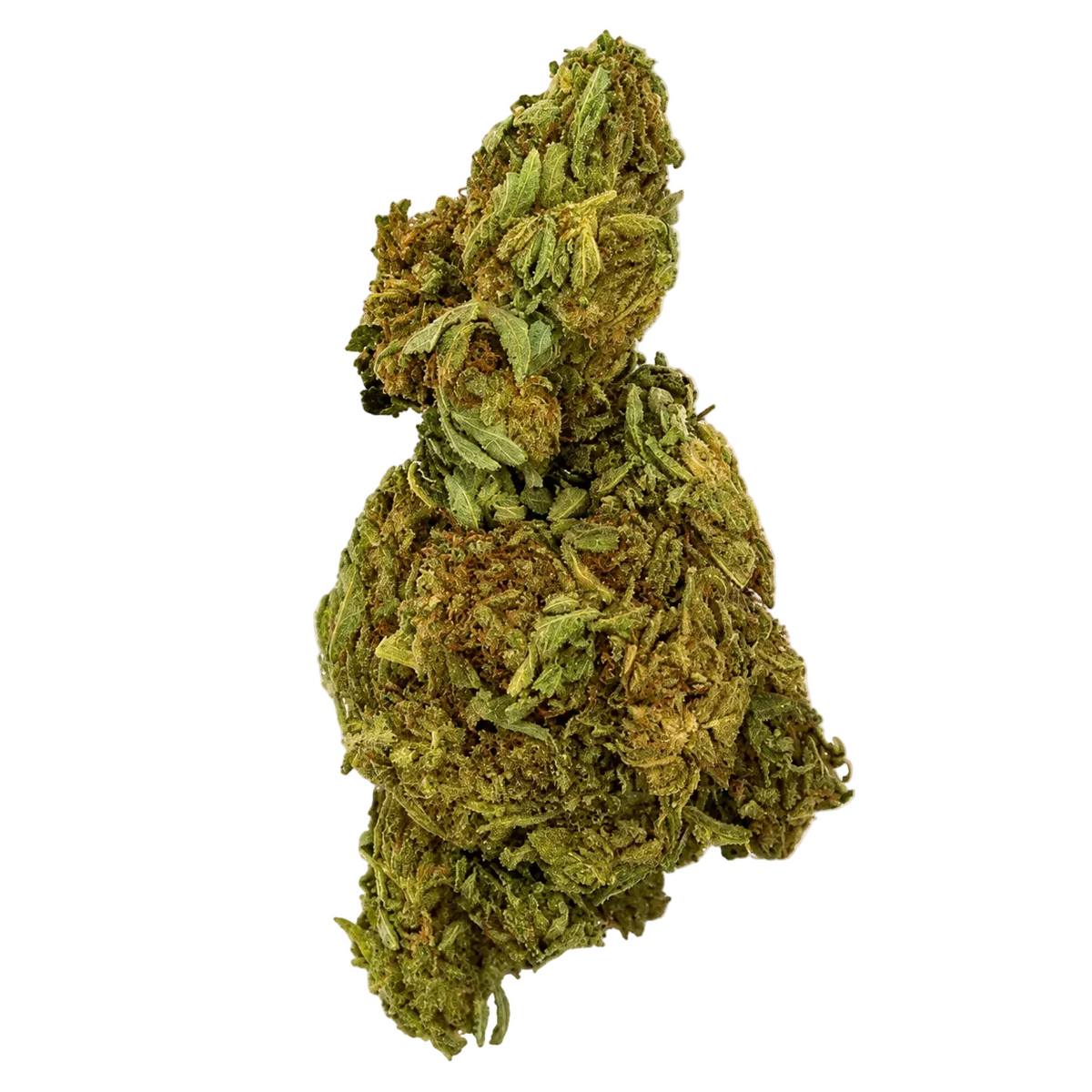 Beach Cake (Sativa)