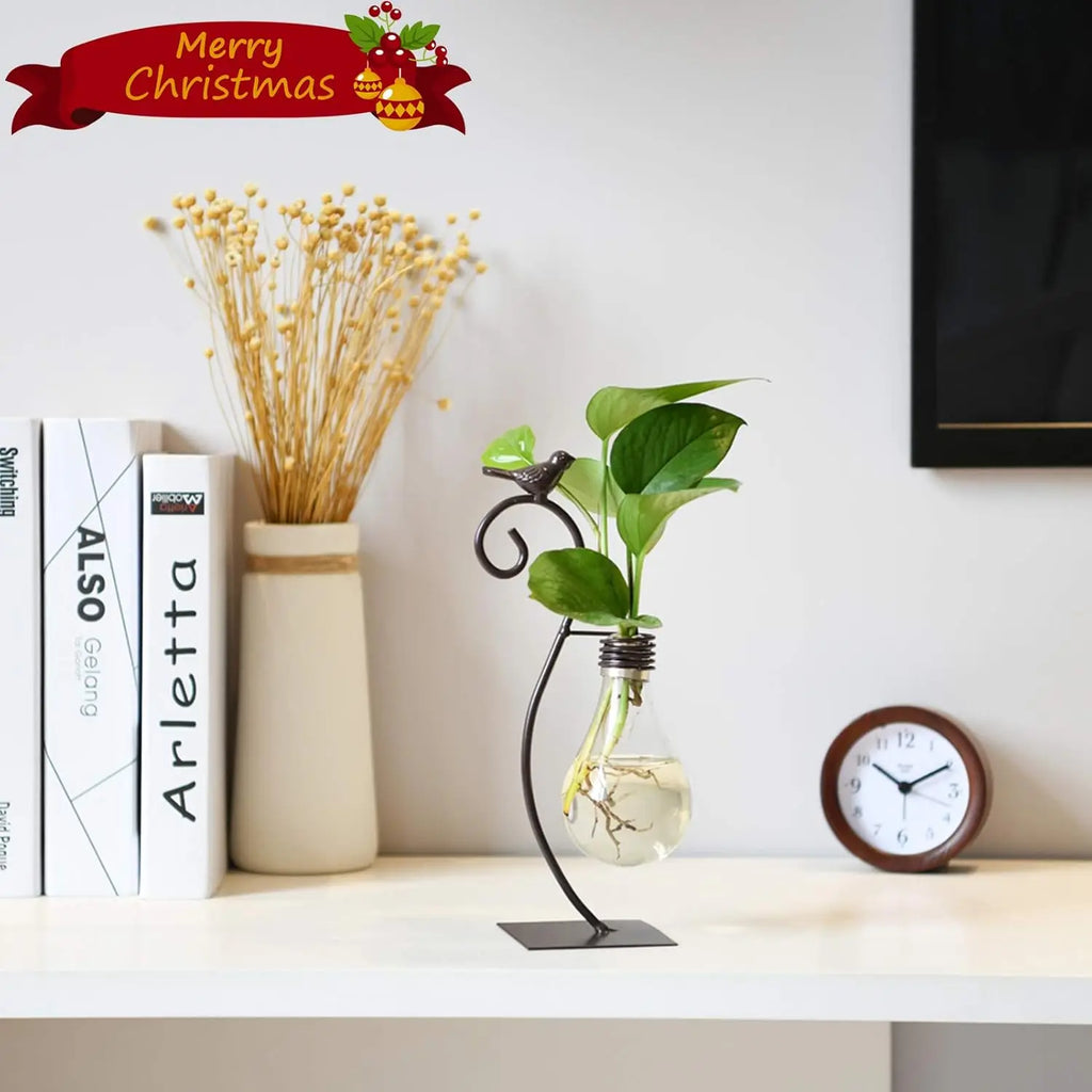 Desktop Glass Planter Hydroponics Vase