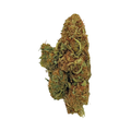 Cake Berry (Indica)