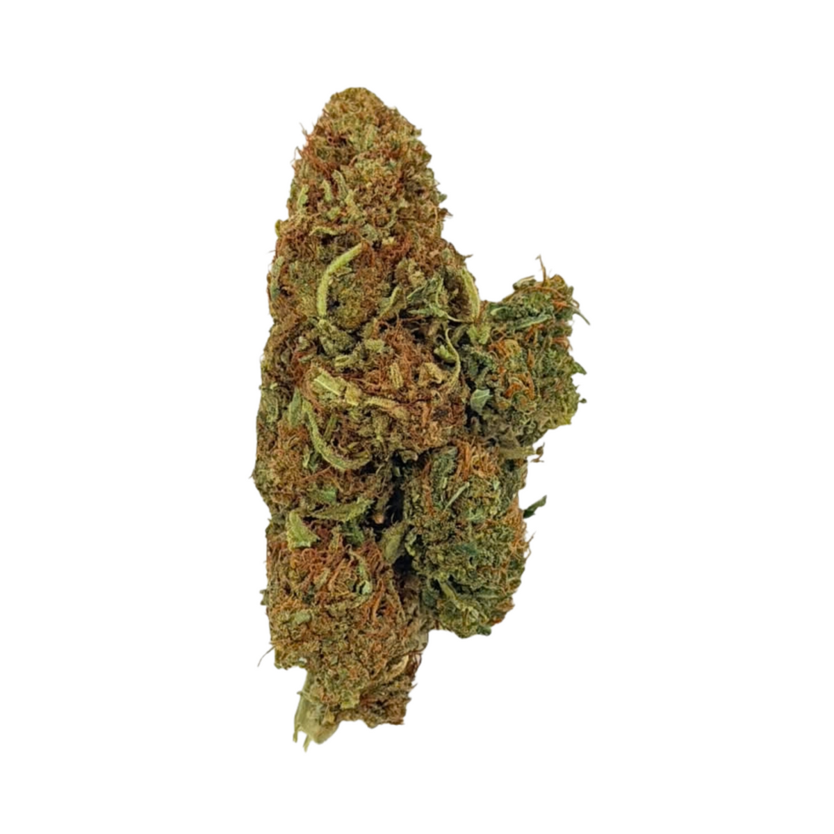 Cake Berry (Indica)