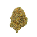 Cheetah Piss (Indica)