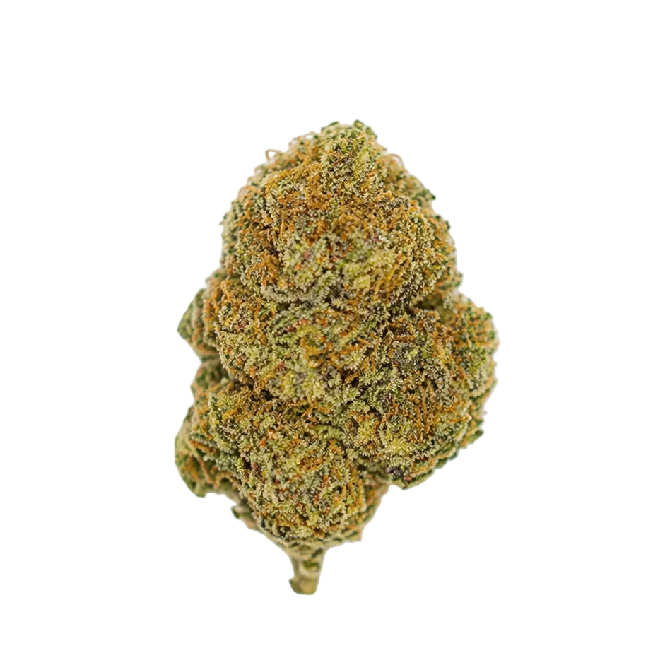 Cheetah Piss (Indica)