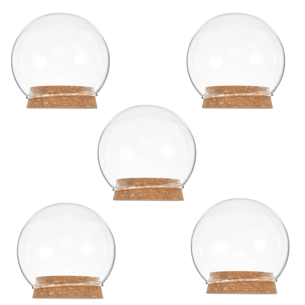 5Pcs Eternal Flower Glass Dome
