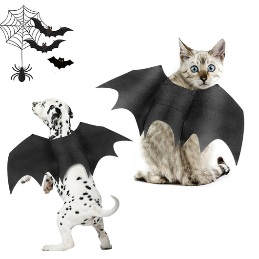 Halloween Bat Wings Pet Costume