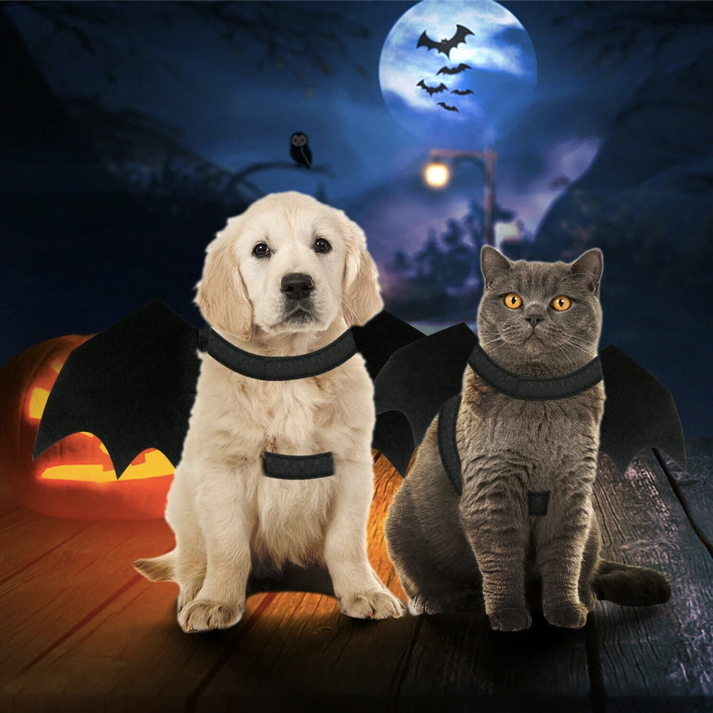 Halloween Bat Wings Pet Costume