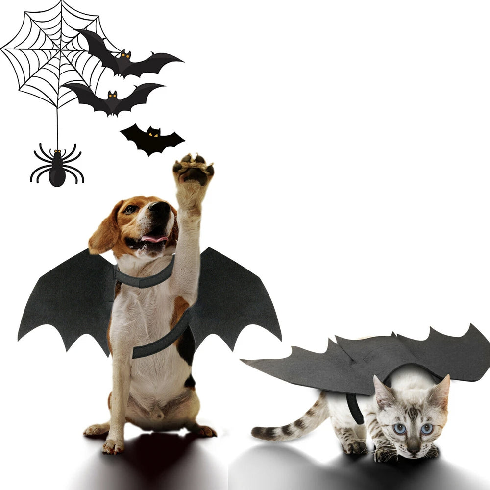 Halloween Bat Wings Pet Costume
