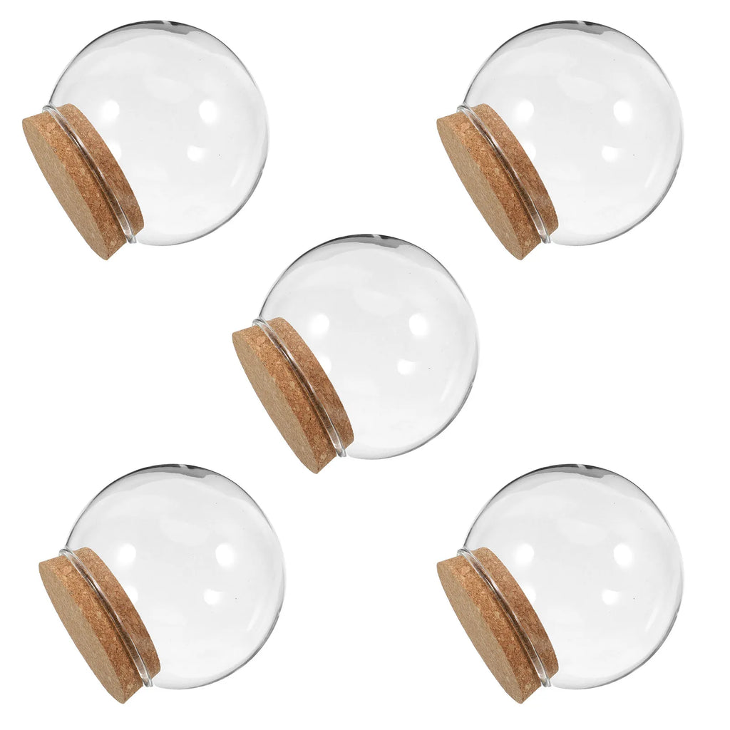 5Pcs Eternal Flower Glass Dome