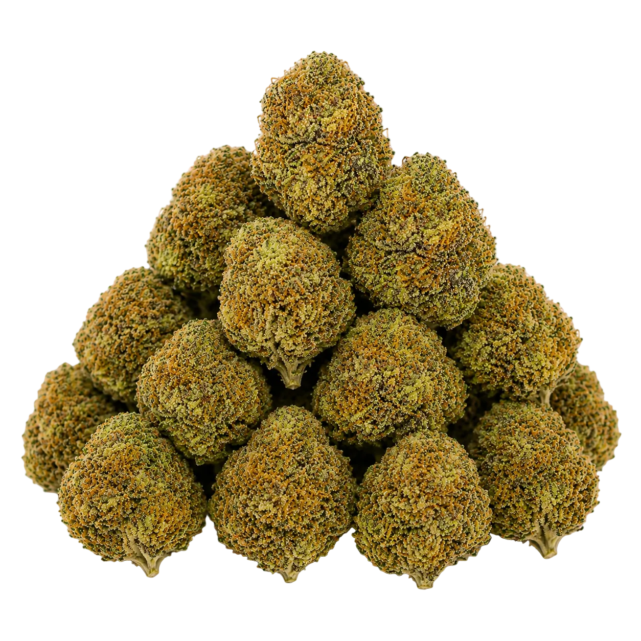 Cheetah Piss (Indica)
