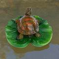 Brown Turtle Craft
