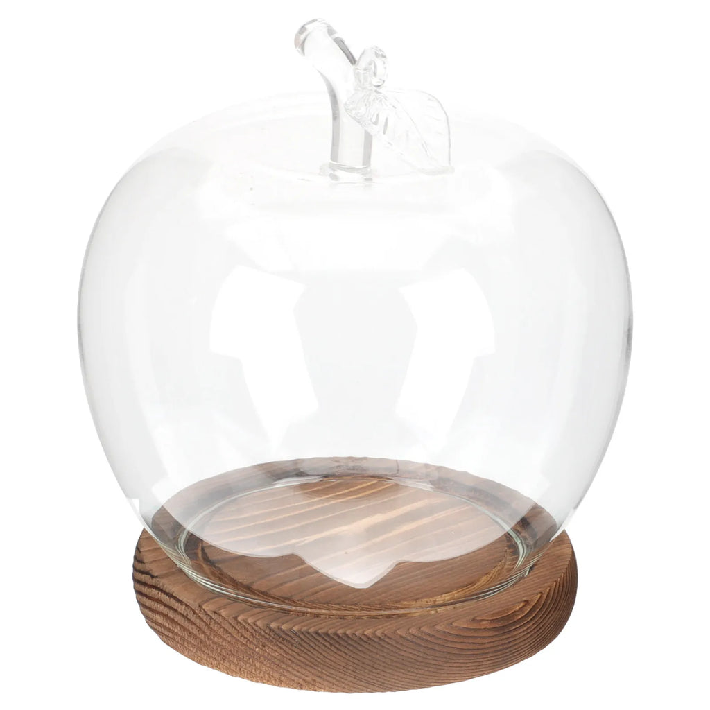 Glass Dome Cover Wood Base