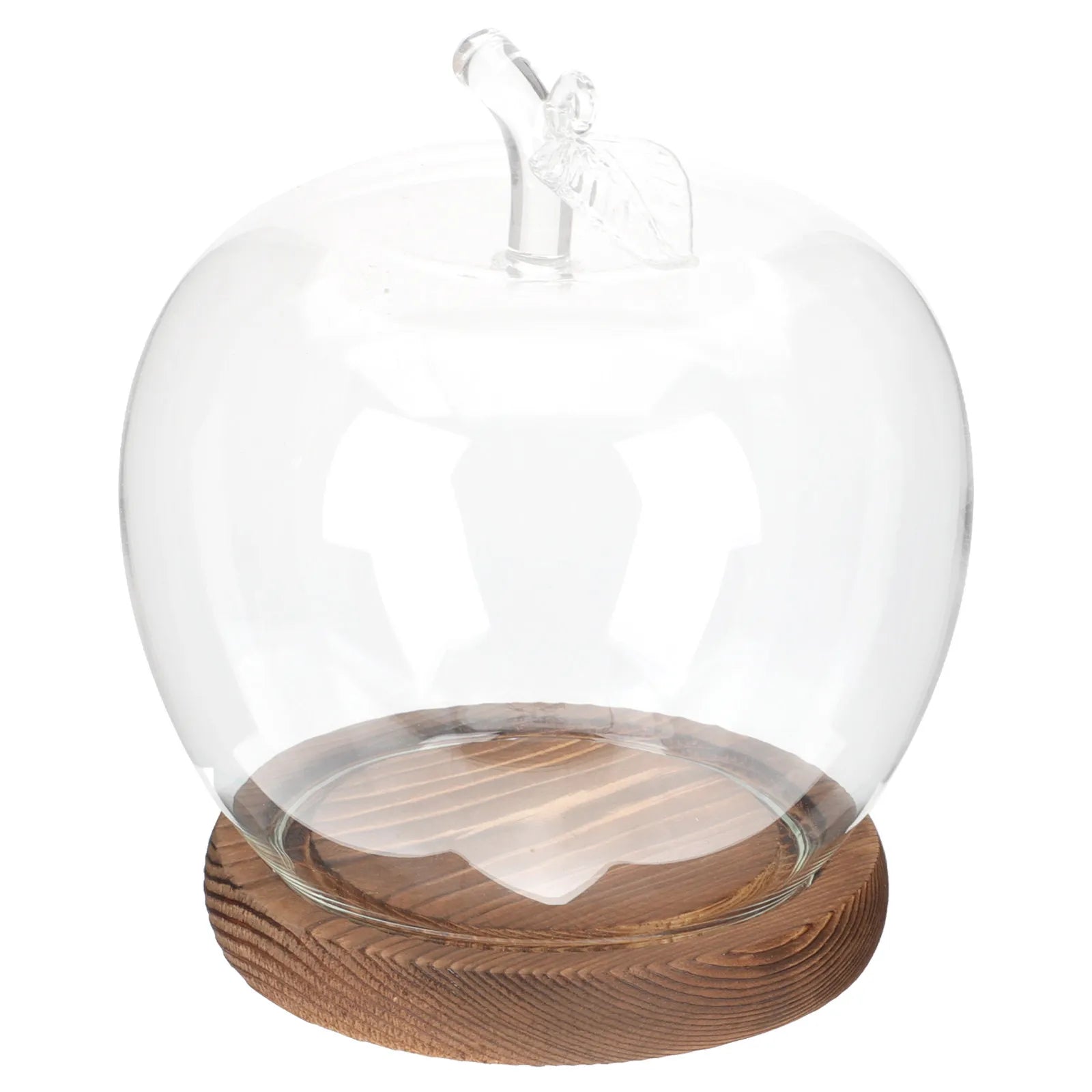 Glass Dome Cover Wood Base