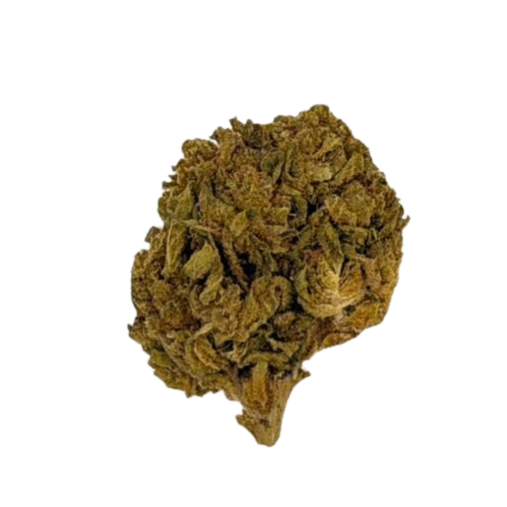 Gelato 44 (Hybrid)