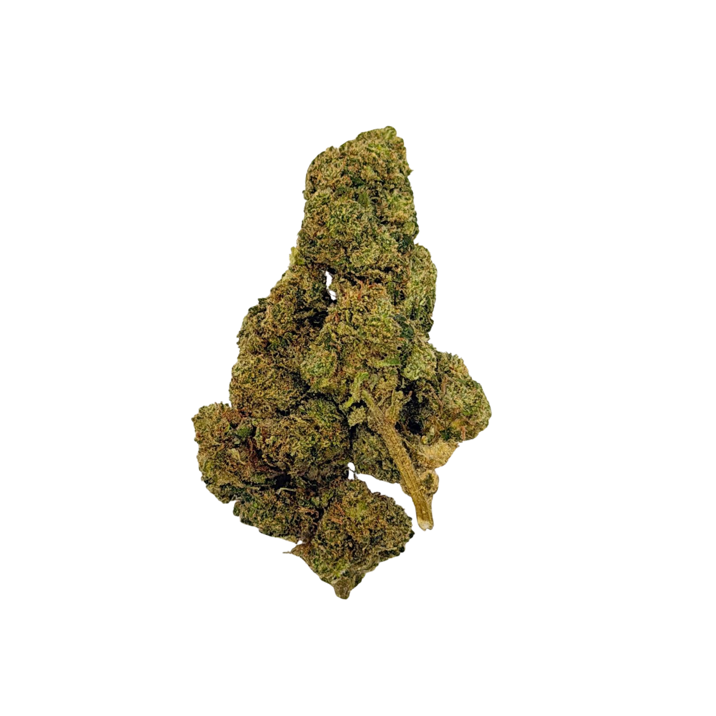Green Slime (Sativa)