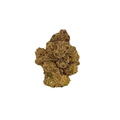 Gruntz (Indica)