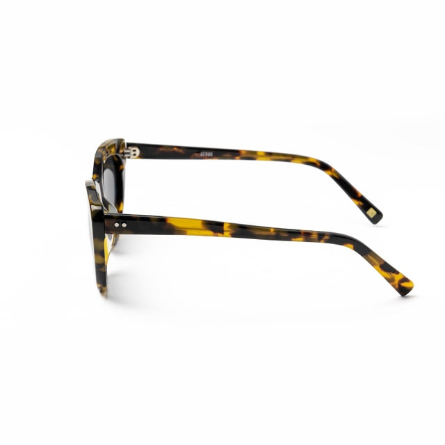 Ocean Glasses KIMBERLEY 8049.4