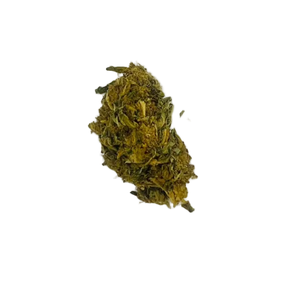 Lemon Octane Sativa CBD hemp flower