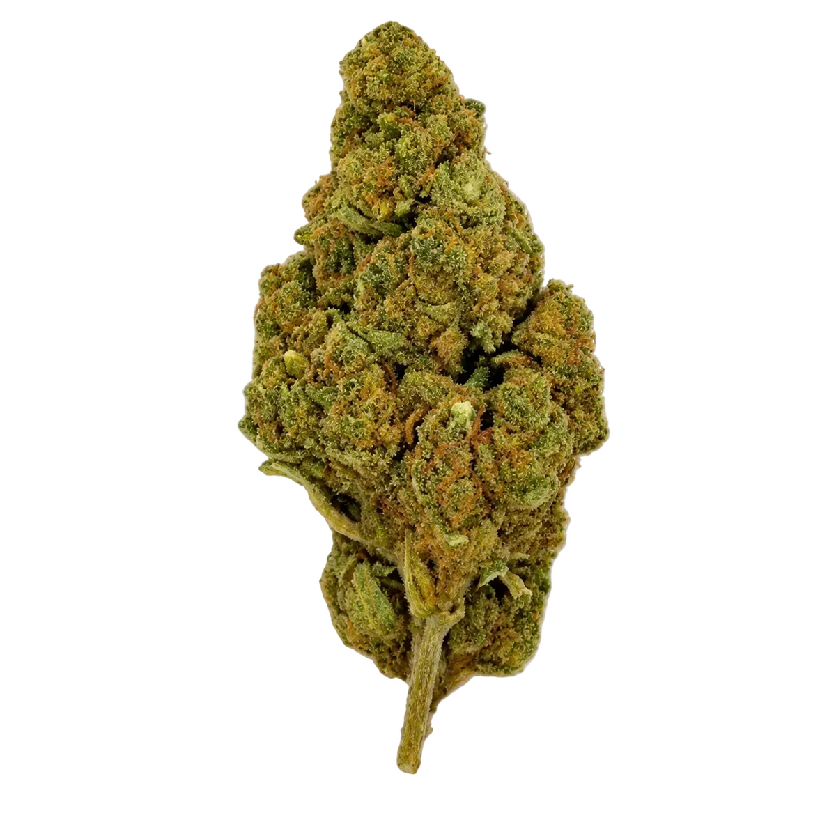 Lime Sherb (Indica)