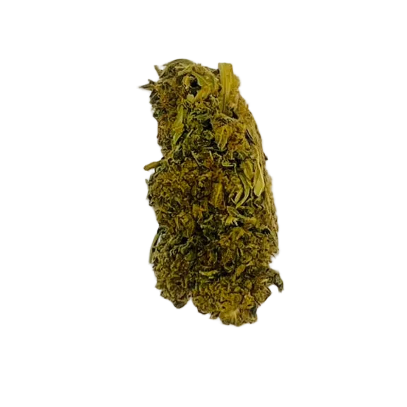 Orange Fritter Hybrid CBD hemp flower
