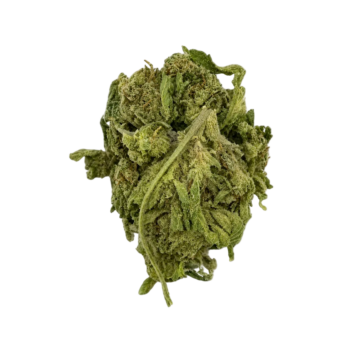 Passion Fruit (Sativa)